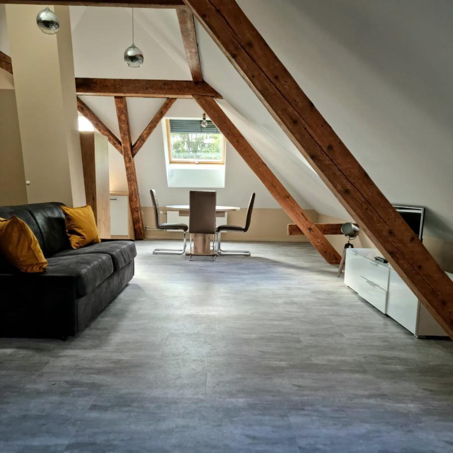 Apartmán Henner Des Trois Frontieres Saint-Louis  Exteriér fotografie
